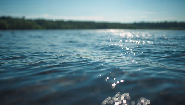 Glittering lake surface at water level with sun glints, ripples and distant treeline