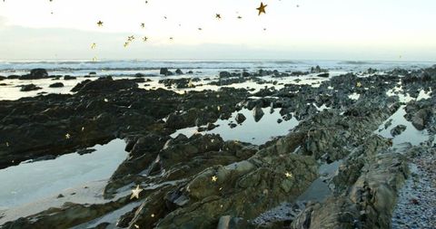 Peaceful Intertidal Coast with Golden Stars Reflecting on Water