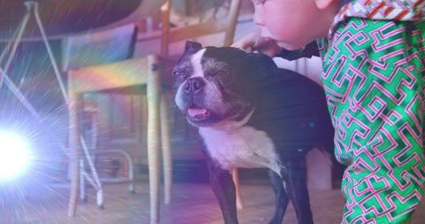 Little boy playfully petting dog in cozy home dining space