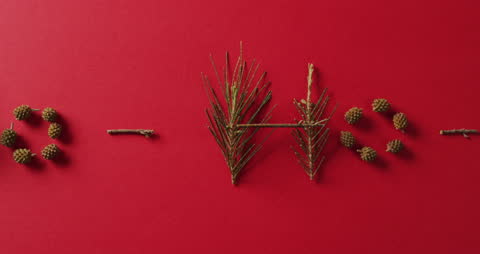 Christmas Text Made of Pine Needles and Cones on Red Background