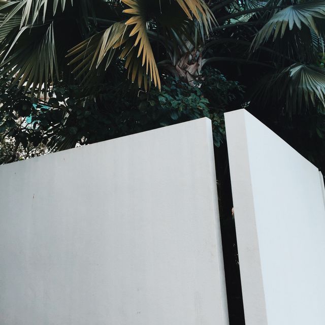 Modern Architectural Wall with Tropical Foliage in Background - Download Free Stock Photos Pikwizard.com