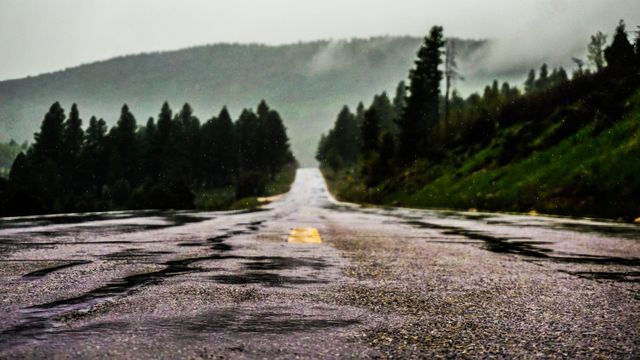 Wet rural road extending into fog-covered hills surrounded by pine trees and rain-soaked landscape. Perfect for use in travel blogs, nature documentaries, weather-related content, and outdoor adventure imagery. Captures stillness of a rainy day and sense of journey.