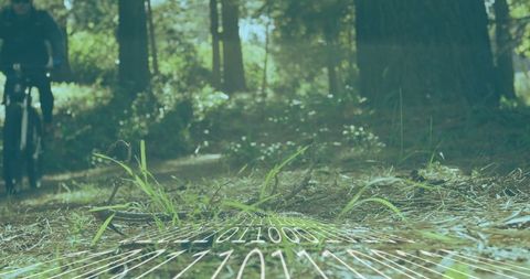 Cyclist Exploring Pine Trail Overlaid with Digital Binary Map