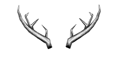 Antique Deer Antlers Illustration on Transparent Background - Download Free Stock Videos Pikwizard.com