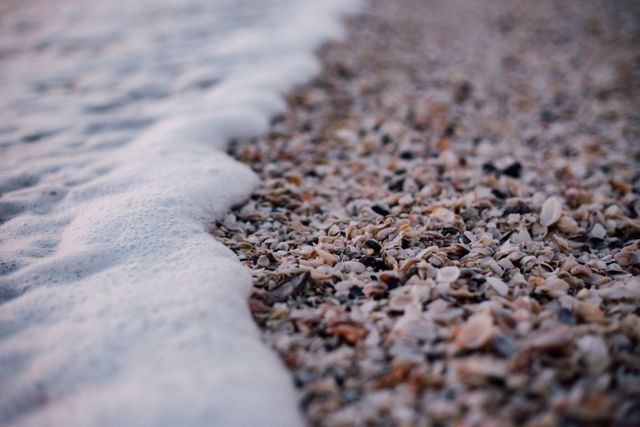 Seaside foam meeting shell-covered shore is captured in detail. Ideal for travel agencies, coastal conservation projects, desktop wallpapers, and promotional content for beach resorts. Use to emphasize tranquility, nature's beauty, or the textures of marine environments.