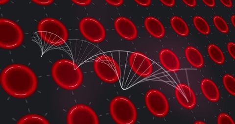 DNA Strand with Red Cells on Black Backgrounds