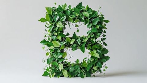 Leafy Letter B with Vines in Modern Studio Design