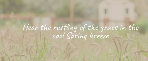 Tranquil Spring Breeze Whispering Through Meadow - Download Free Stock Templates Pikwizard.com