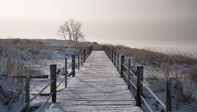 Leading snowy boardwalk toward misty winter beach and sand dunes