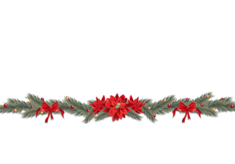 transparent christmas garland with poinsettias and pine cones - Download Free Stock Videos Pikwizard.com