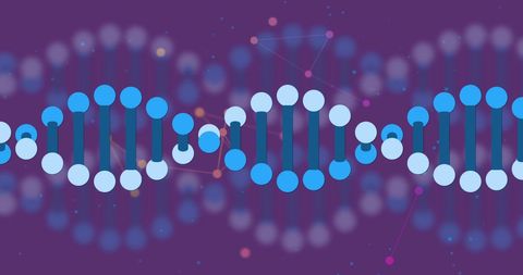 Digital Representation of DNA Strand with Network Connections - Download Free Stock Images Pikwizard.com