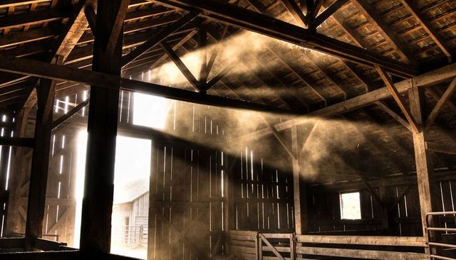 Sunlit dusty barn interior with timber trusses, loft beams and golden sunbeams