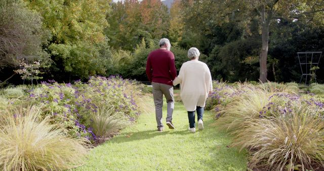 Rear view of diverse senior couple holding hands walking in sunny garden, copy space. Retirement, togetherness, relationship, nature and active senior lifestyle, unaltered.