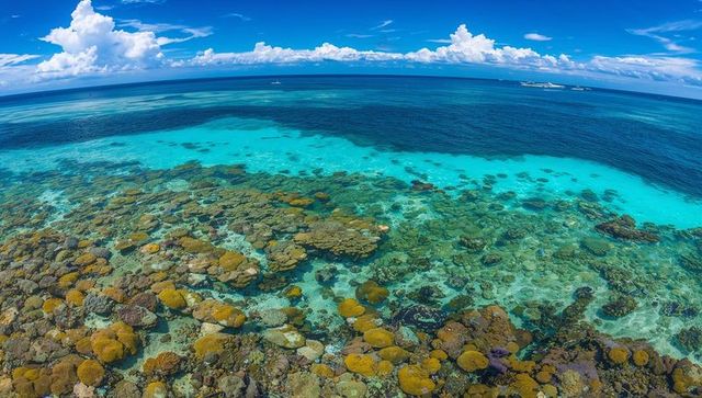 Revealing vibrant coral reef and turquoise lagoon with boats on distant horizon