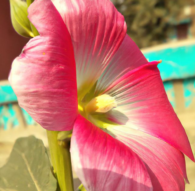 Close up of pink hollyhock flower on blurred background created using generative ai technology. Nature and harmony concept, digitally generated image.