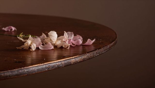 Pale pink petals resting on weathered round wooden table in soft moody light