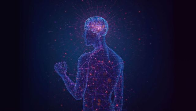 Futuristic Wireframe Brain with Neural Network Visual