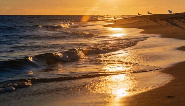 Golden sunset seascape with wet sand, gentle waves and three silhouetted seagulls