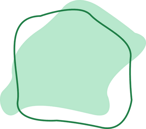 abstract mint green blob with dark gold outline on transparent - Download Free Stock Videos Pikwizard.com