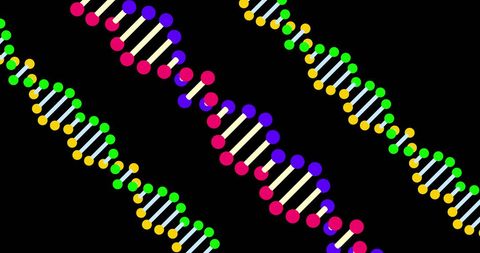 Colorful dna strands rotating on black background