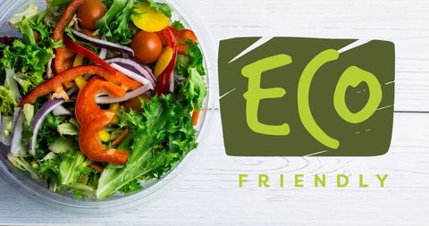 Eco friendly fresh organic vegetable salad