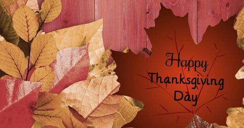 Happy Thanksgiving Day Message on Colorful Autumn Leaves - Download Free Stock Images Pikwizard.com