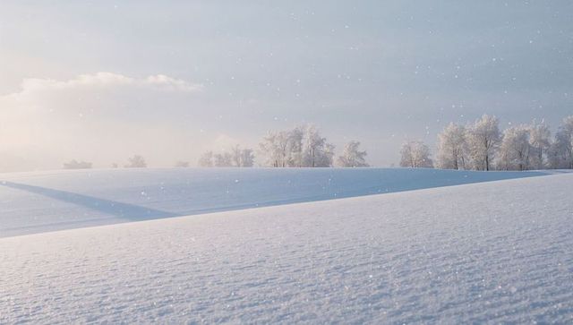 Glistening snowfield at dawn with frosted trees sparkling texture and soft diagonal shadow