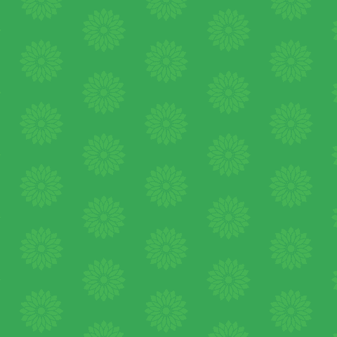 Floral Pattern Illustration Green Modern Transparent Design - Download Free Stock Videos Pikwizard.com