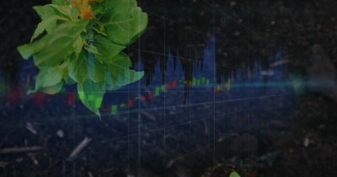 Young plant growing over financial market chart symbolizing green investment and growth