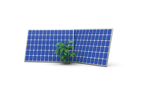 transparent photovoltaic solar panels with green plant illustration - Download Free Stock Videos Pikwizard.com
