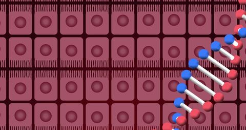 Abstract Digital DNA Over Cells Conceptual Design