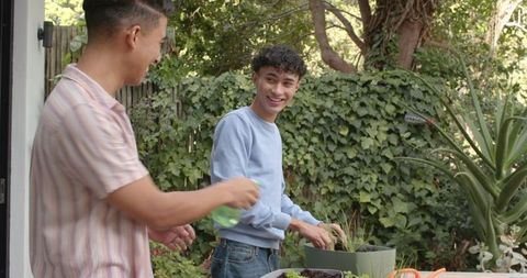 Young Friends Engaged in Gardening with Succulents Outdoors
