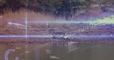 Lone warthog overlaid with digital data near watering hole