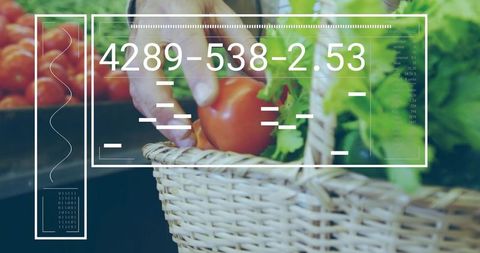 Man picking ripe tomato from wicker basket closeup with augmented reality overlay