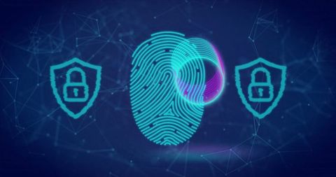 Digital Fingerprint Security with Shield Locks and Network Lines