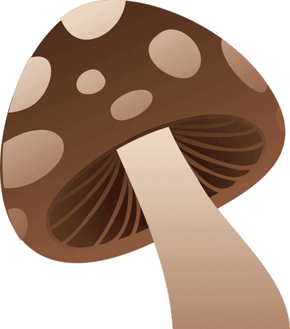 Stylized brown mushroom illustration on transparent background