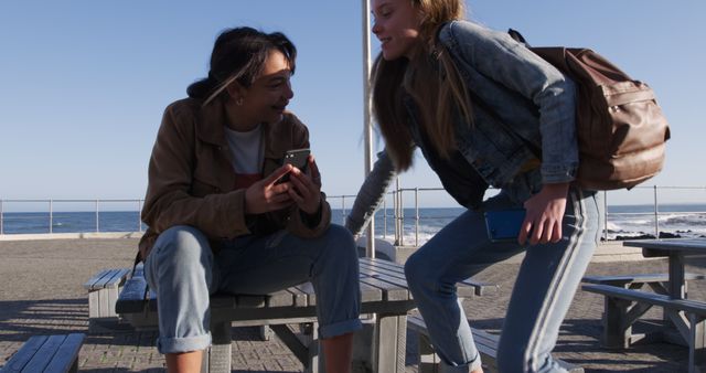 Teenagers Enjoying Time Outdoors Near Beach - Download Free Stock Images Pikwizard.com