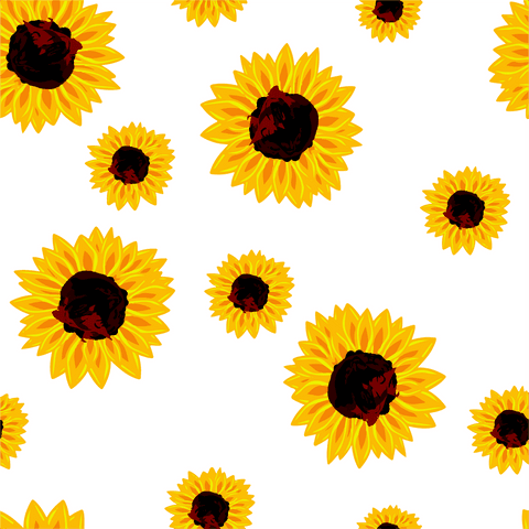 seamless pattern of yellow sunflowers on transparent background - Download Free Stock Videos Pikwizard.com