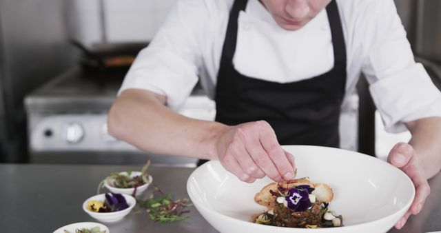 Chef Plating Gourmet Dish in Professional Kitchen Setting - Download Free Stock Images Pikwizard.com