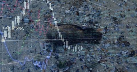 Candlestick chart overlay on sandy beach with shells and carcass