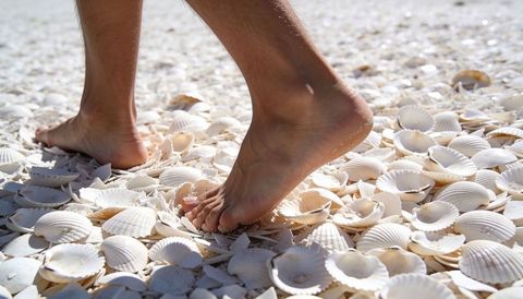 Bare feet walking on white scallop shells closeup beach texture coastal lifestyle scene