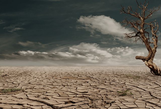 Barren landscape with cracked earth and a single dry tree under a cloudy sky. This image vividly depicts the severe impact of drought and climate change. Suitable for use in environmental awareness campaigns, articles on climate change, geological studies, educational materials on the environment, and websites advocating for sustainable practices.