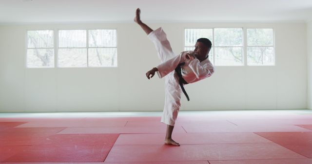 Scene captures martial artist executing high kick in a brightly lit dojo. Perfect for illustrating themes of physical training, discipline, self-defense, and martial arts skills. Suitable for sports, fitness, health articles, and promotional materials for martial arts schools.