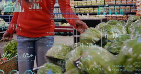 Grocery shopping with digital data overlay