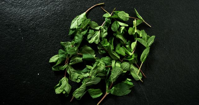Fresh Mint Leaves on Dark Textured Surface - Download Free Stock Images Pikwizard.com