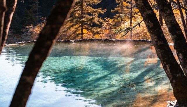 Turquoise forest pool with rising mist and golden reflections, tranquil woodland oasis