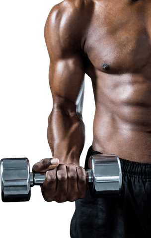 muscular man curling dumbbell with toned biceps on transparent background - Download Free Stock Videos Pikwizard.com