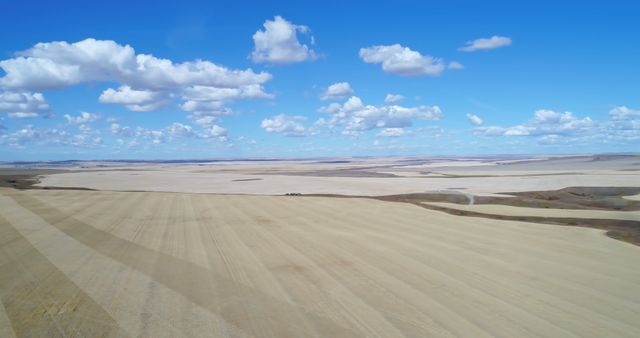 Aerial view of beautiful field 4k