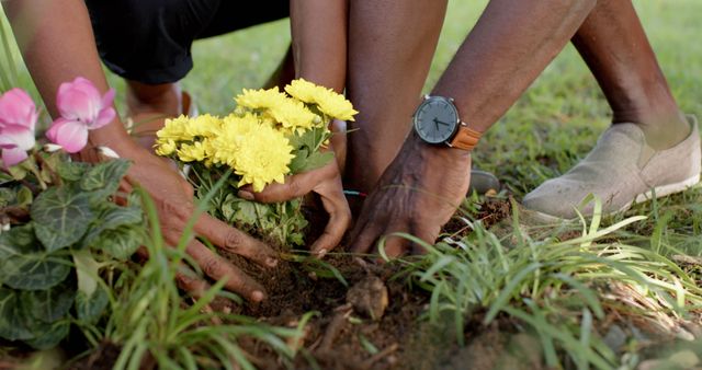 Closeup of two individuals' hands planting yellow and pink flowers in a garden. Useful for illustrating outdoor activities, teamwork, gardening tips, environmental awareness, and community involvement.