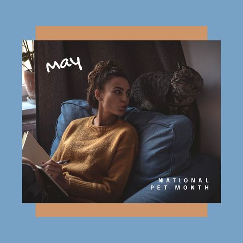 caucasian woman and curled cat celebrate national pet month in cozy home - Download Free Stock Templates Pikwizard.com